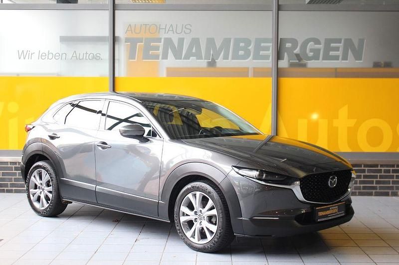 Gebraucht Mazda CX-30 Selection 150 PS (110 kW) 2021 Grau SUV