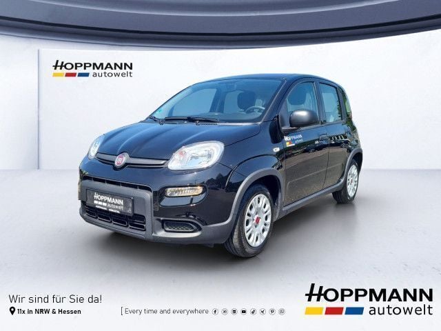 Schwarz Gebraucht 2024 Fiat Panda Kleinwagen | 11.990 € (Guter Preis) - Bild 1/4