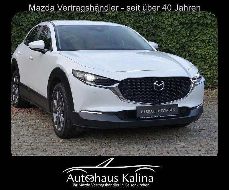 Gebraucht Mazda CX-30 Active 122 PS (89 kW) 2020 Snowflake white SUV