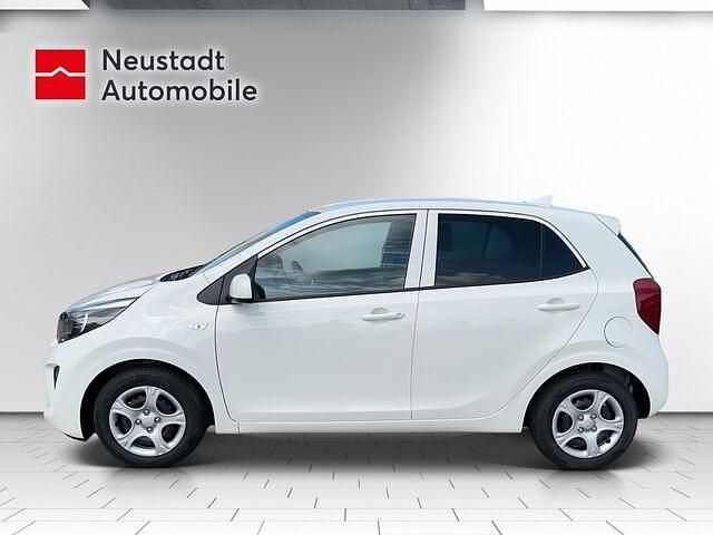 Gebraucht Kia Picanto Vision 67 PS (49 kW) 2024 Schneeweiss/schwarz Kleinwagen