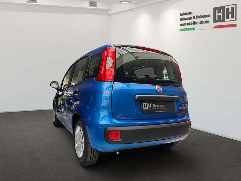 Neu Fiat Panda Icon 69 PS (50 kW) 2026 Italiablau, dach schwarz Kleinwagen