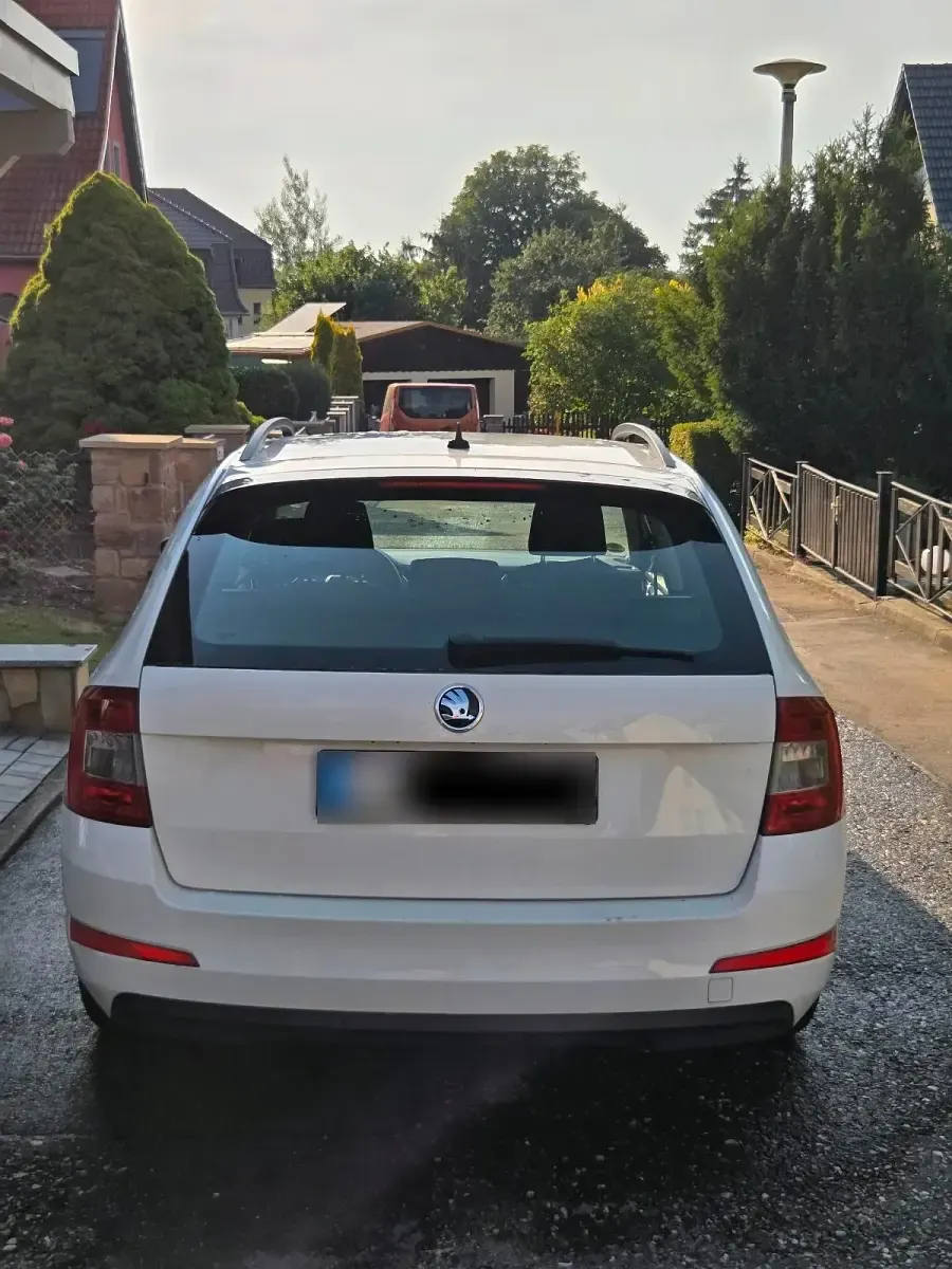 Gebraucht Skoda Octavia GreenLine 110 PS (80 kW) 2026 Weiß Kombi