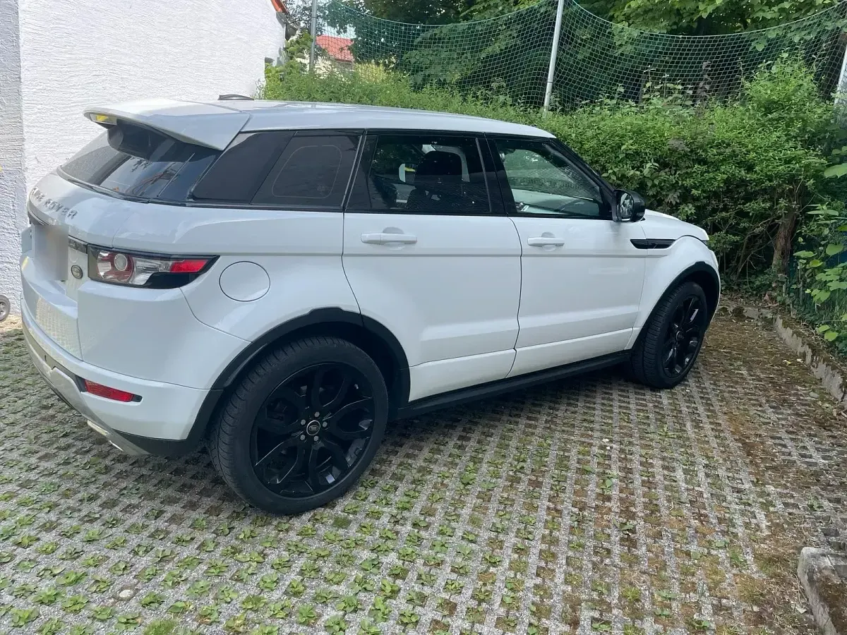 Gebraucht Land Rover Range Rover evoque 190 PS (139 kW) 2013 Weiß SUV