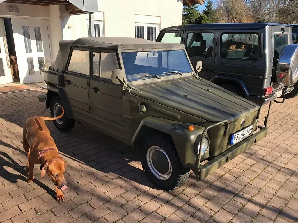 Gebraucht VW 181 48 PS (35 kW) 1978 SUV