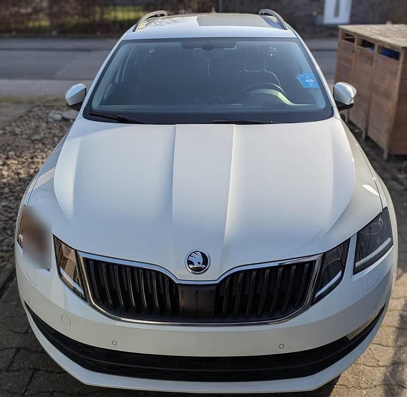 Gebraucht Skoda Octavia Clever 150 PS (110 kW) 2019 Weiß Kombi