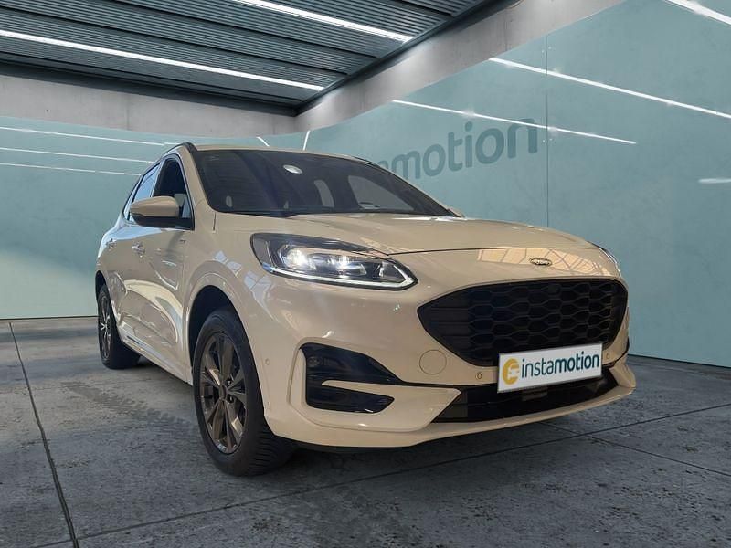 Gebraucht Ford Kuga ST-Line X 224 PS (164 kW) 2023 Weiß SUV