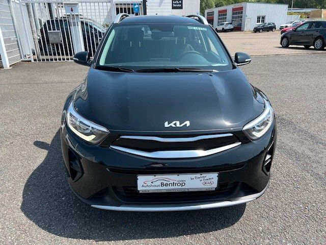 Neu Kia Stonic Vision 101 PS (74 kW) 2025 Schwarz SUV