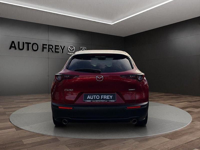 Gebraucht Mazda CX-30 Selection 180 PS (132 kW) 2019 Rot metallic SUV