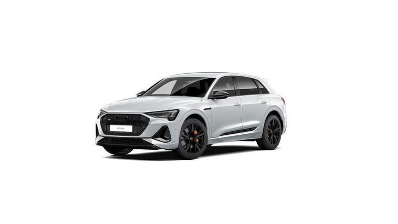 Gebraucht Audi e-tron Black Edition 300 kW (408 PS) 2023 Gletscherweiß metallic SUV