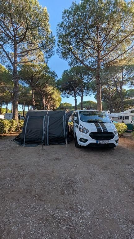Usata Ford Transit Custom 131 CV (96 kW) 2019 Bianco Monovolume