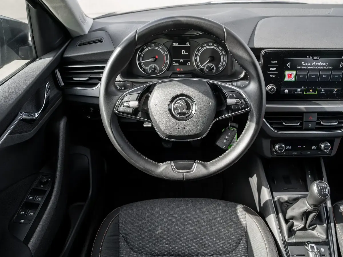 Gebraucht Skoda Scala Clever 110 PS (80 kW) 2021 Grau Kleinwagen