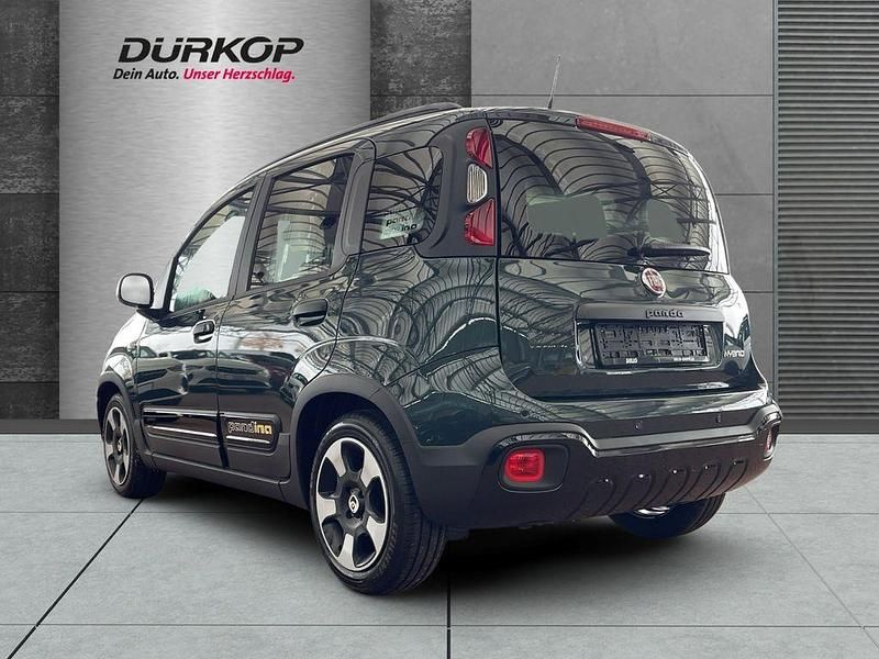 Neu Fiat Panda Cross Cross 69 PS (50 kW) 2026 Gruen Kleinwagen
