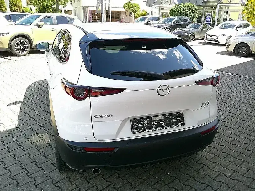 Gebraucht Mazda CX-30 Homura-Line 150 PS (110 kW) 2023 Weiss SUV