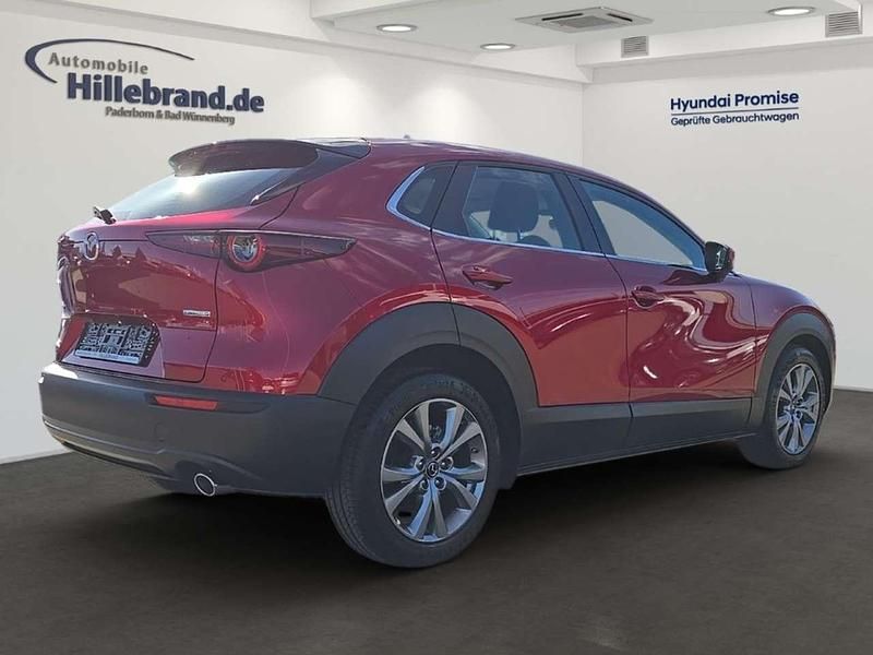 Gebraucht Mazda CX-30 Selection 150 PS (110 kW) 2021 Rot SUV