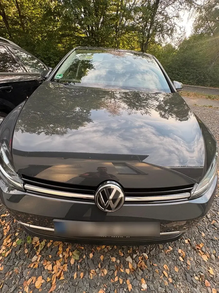 Gebraucht VW Golf VII 150 PS (110 kW) 2019 Grau Kleinwagen