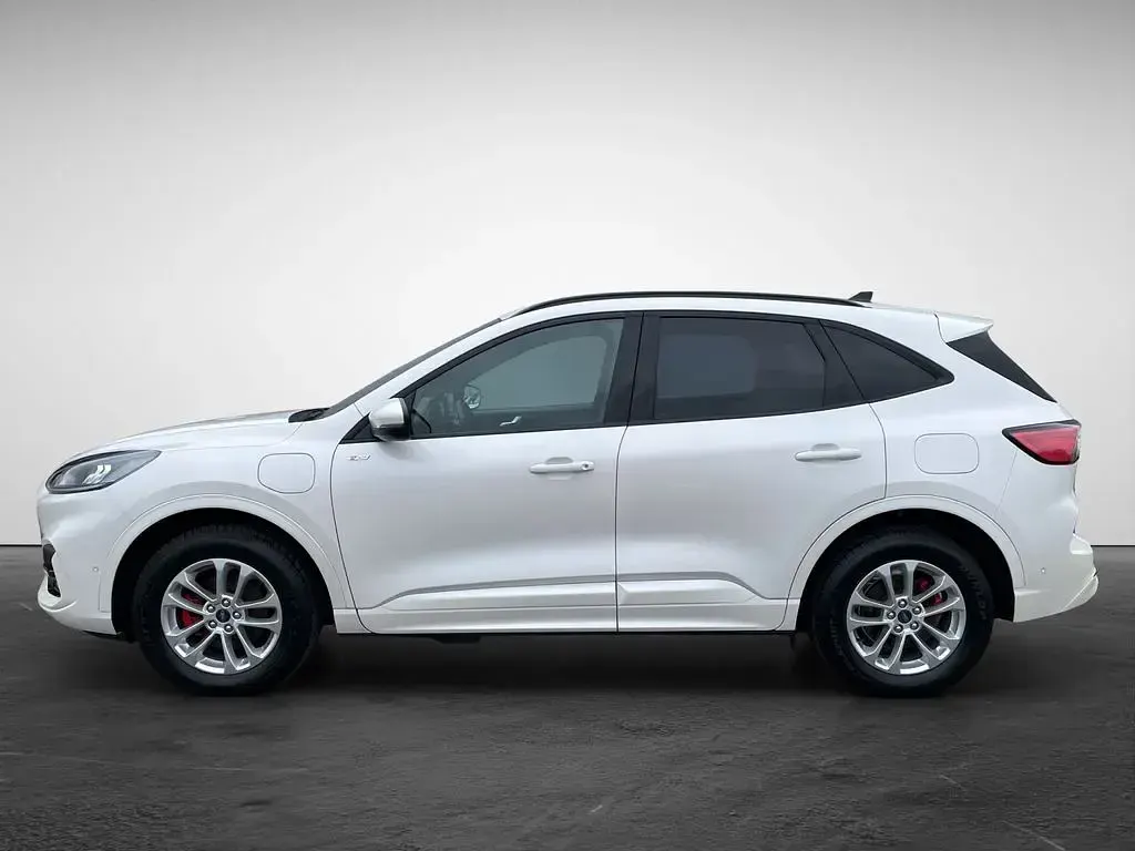 Gebraucht Ford Kuga ST-Line 152 PS (111 kW) 2023 Weiß SUV