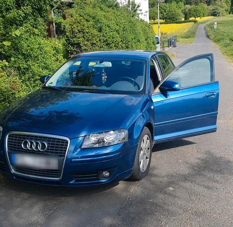 Gebraucht Audi A3 Sportback 116 PS (85 kW) 2004 Blau Kleinwagen