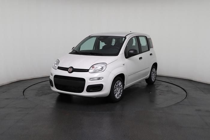 Neu Fiat Panda 69 PS (50 kW) 2025 Weiß, weiß uni Kleinwagen