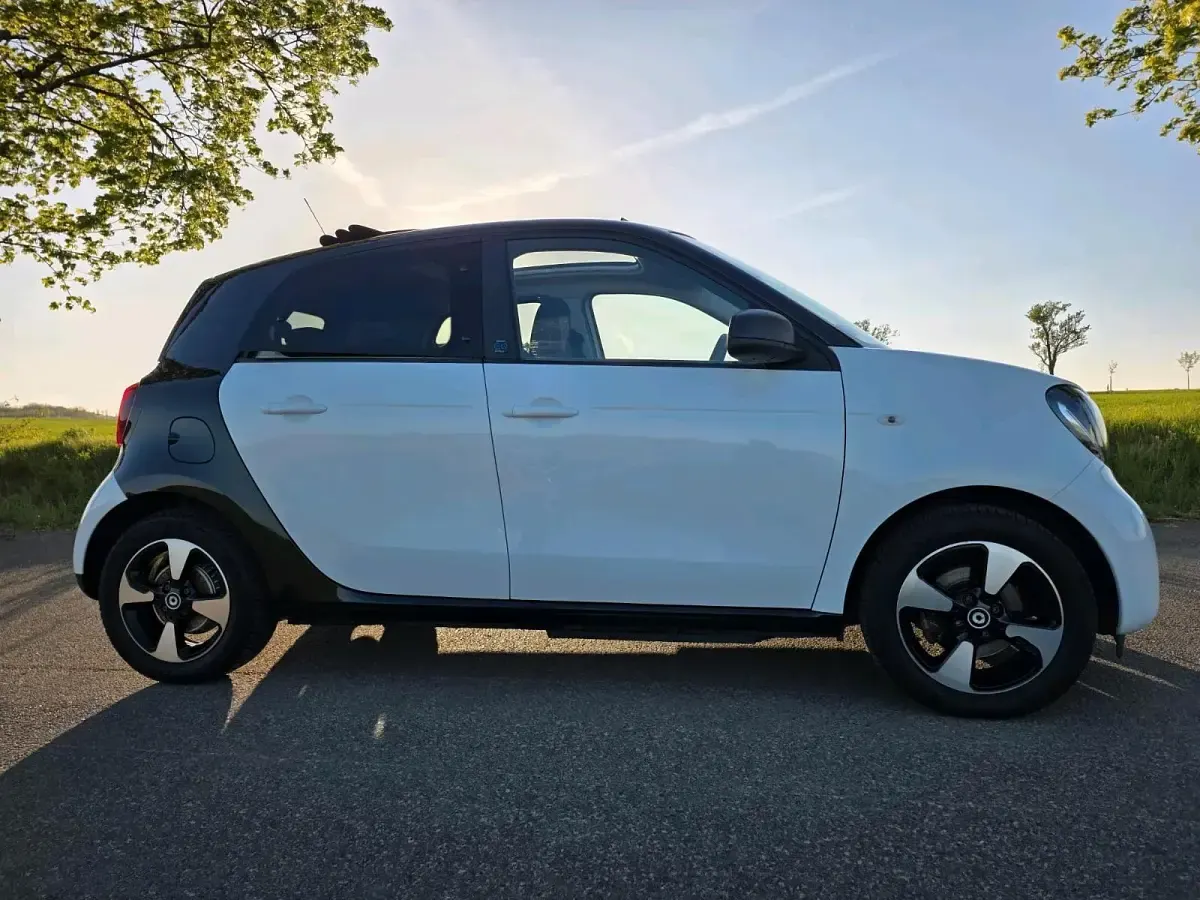 Occasion Smart ForFour Electric Drive 58 kW (80 ch) 2019 Blanc Citadine