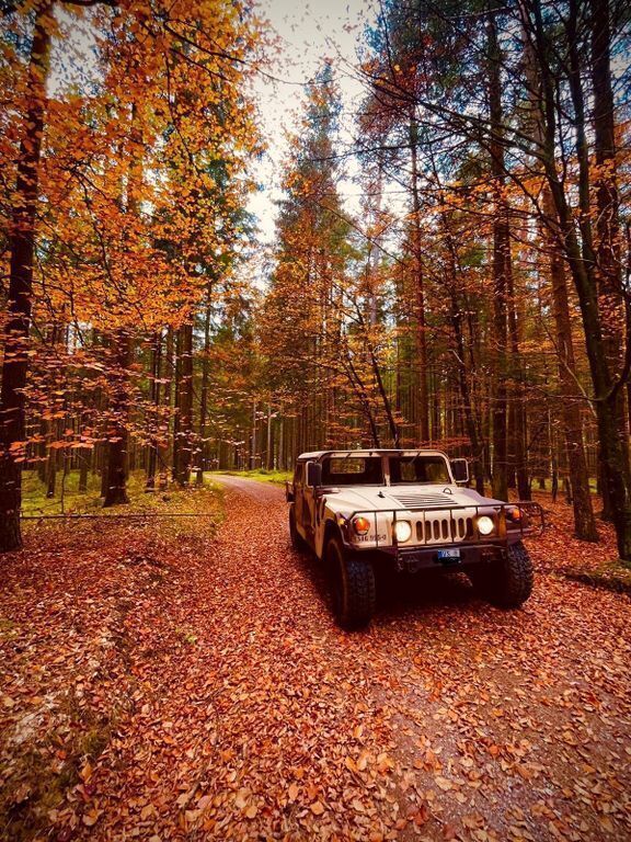 Beige Gebraucht 1986 Hummer H1 SUV | 44.500 € - Bild 1/4