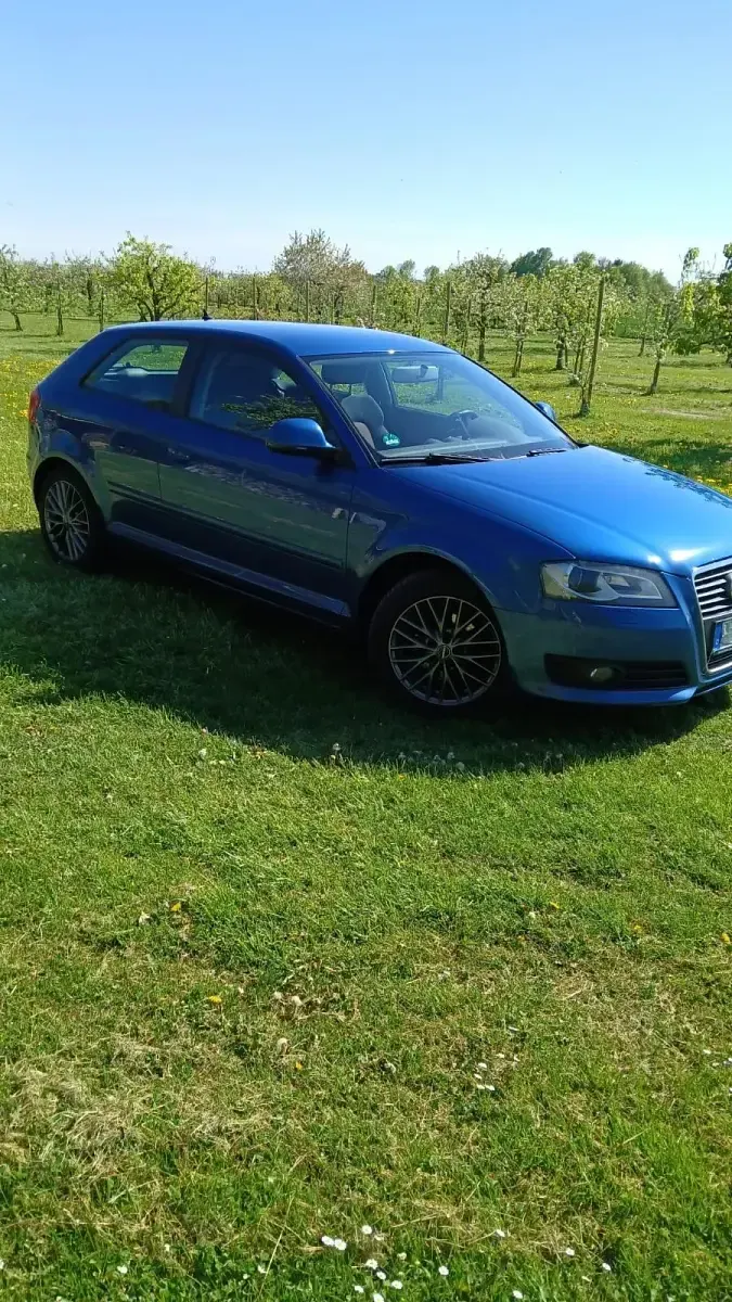 Używany Audi A3 140 KM (102 kW) 2009 Niebieski Hatchback