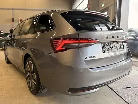 Gebraucht Skoda Octavia SportLine 150 PS (110 kW) 2025 Grau Kombi
