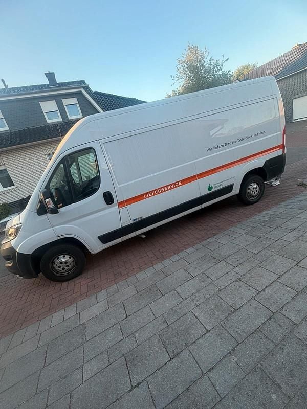 Second-hand Fiat Ducato 2019 Alb Van