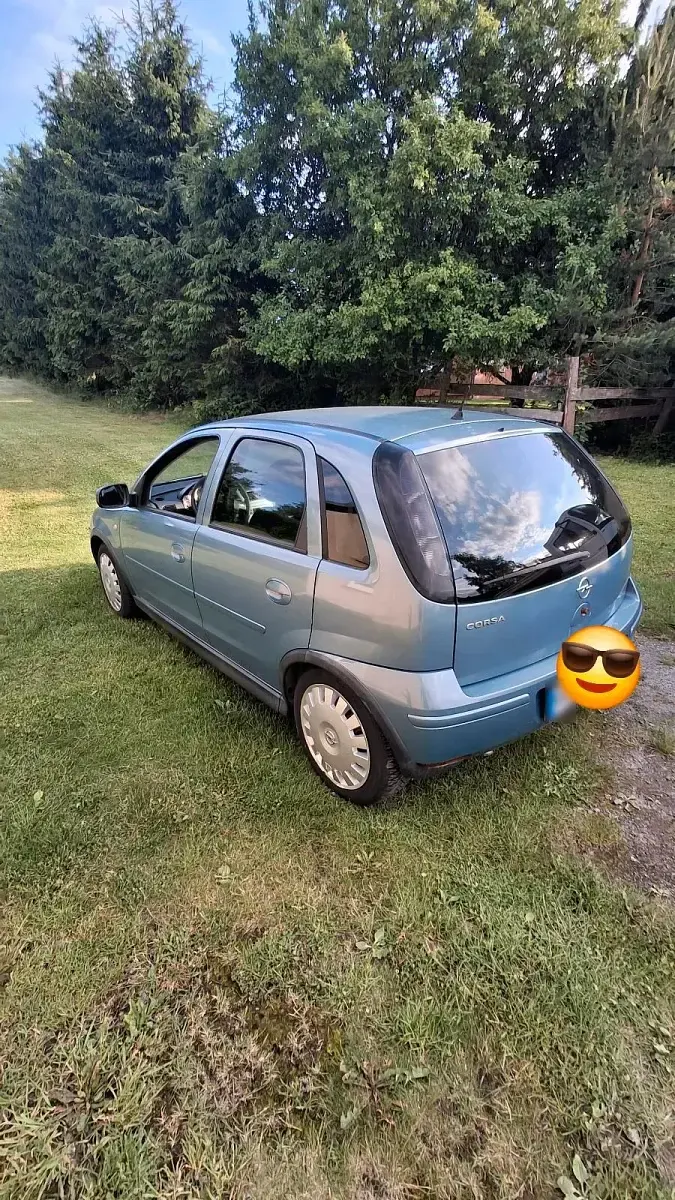 Gebraucht Opel Corsa 80 PS (58 kW) 2006 Grün Kleinwagen