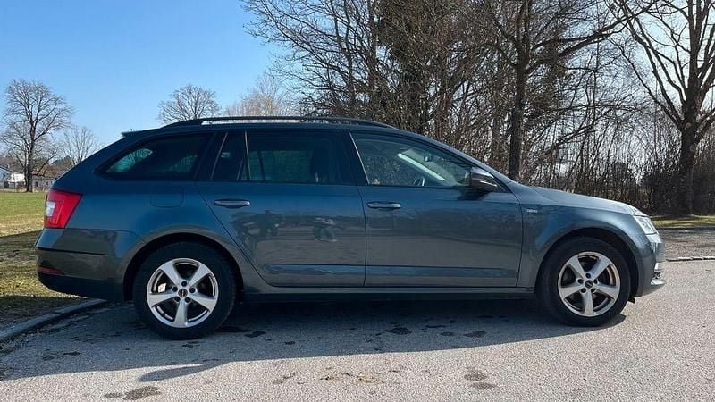 Gebraucht Skoda Octavia Soleil 150 PS (110 kW) 2019 Grau Kombi