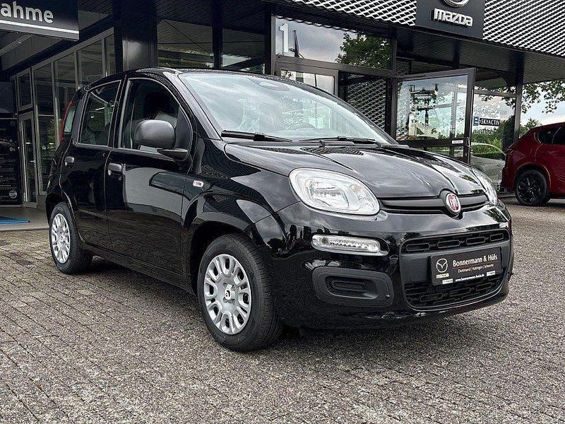 Neu Fiat Panda 69 PS (50 kW) 2025 Cinema schwarz Kleinwagen