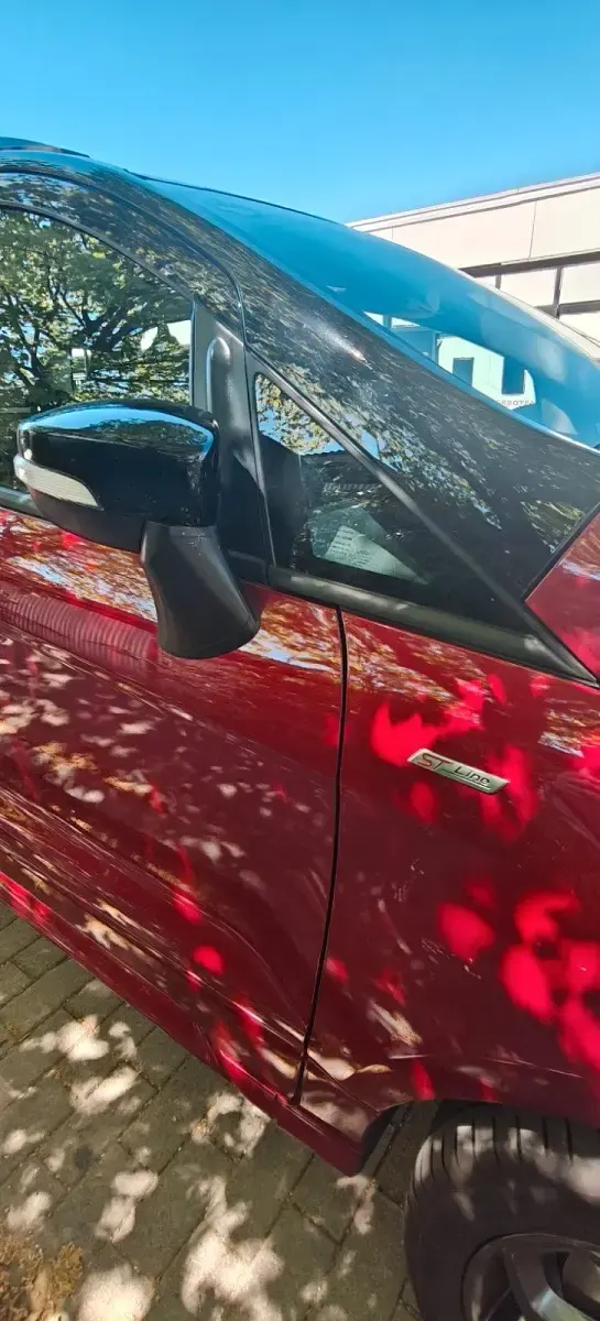 Gebraucht Ford Ecosport ST-Line 125 PS (91 kW) 2019 Rot SUV