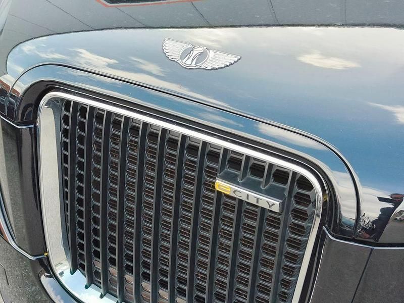Gebraucht LEVC TX 91 PS (66 kW) 2019 Limousine