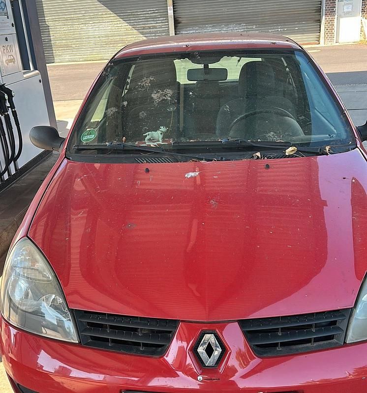 Rot Gebraucht 2008 Renault Clio II Kleinwagen | 699 € - Bild 1/4