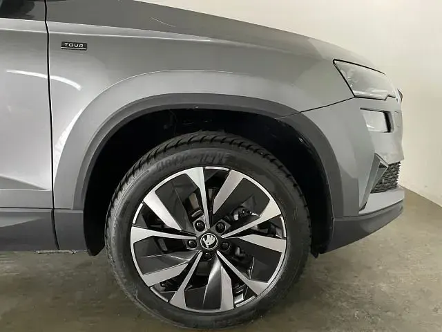 Gebraucht Skoda Karoq Tour 150 PS (110 kW) 2026 Grau SUV