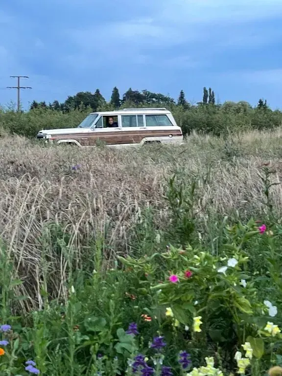 Gebraucht Jeep Wagoneer 144 PS (105 kW) 1988 Beige SUV