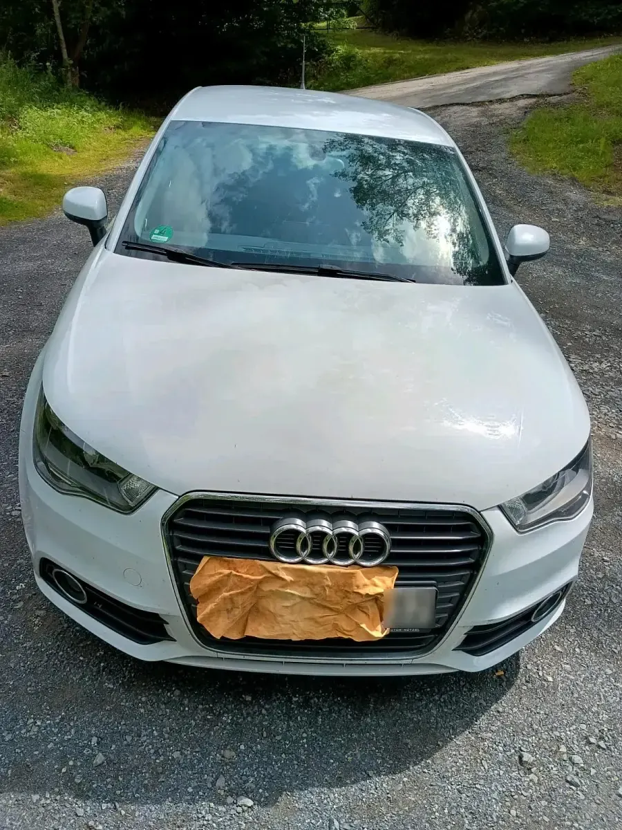 Gebraucht Audi A1 Sportback 122 PS (89 kW) 2012 Weiß Kleinwagen