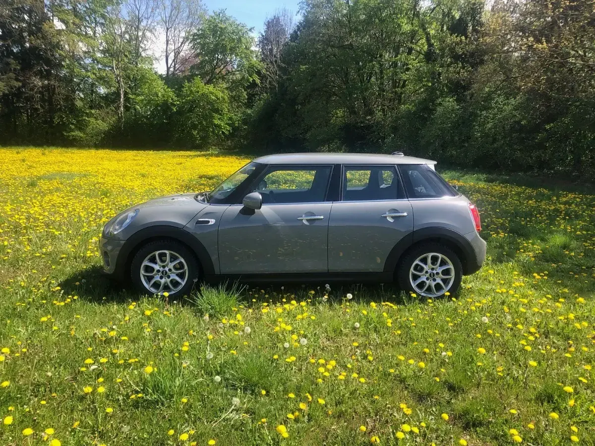 Gebraucht Mini Cooper 136 PS (100 kW) 2017 Grau Kleinwagen