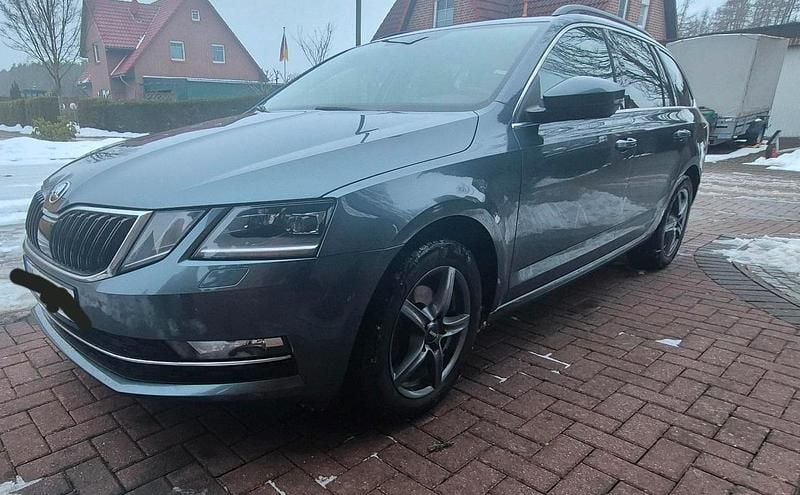 Gebraucht Skoda Octavia G-TEC Style 110 PS (80 kW) 2018 Grau Kombi