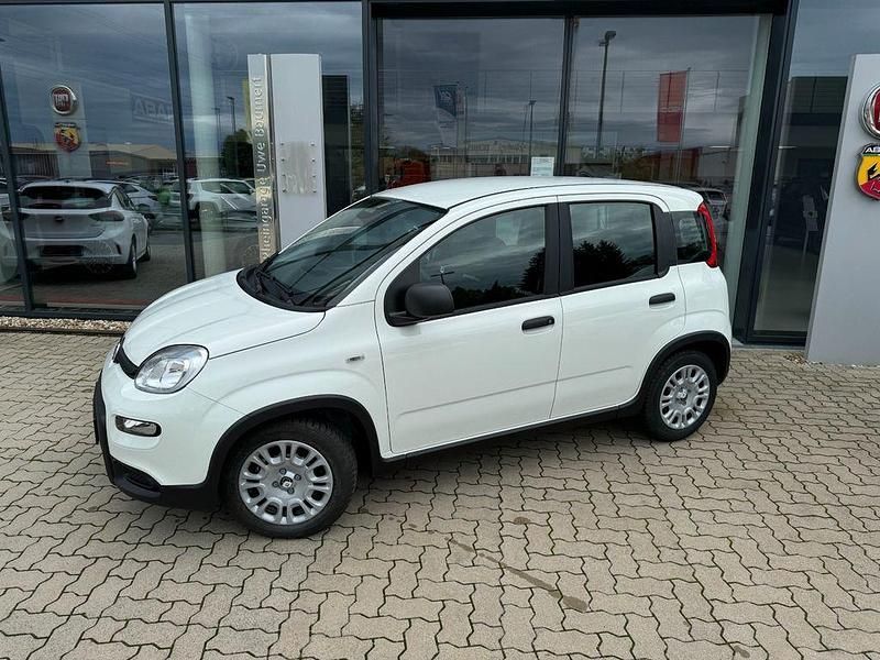 Gebraucht Fiat Panda 69 PS (50 kW) 2024 Weiß Limousine