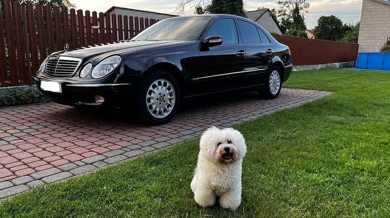 Schwarz Gebraucht 2002 Mercedes E320 Elegance Limousine | 6.700 € - Bild 1/4