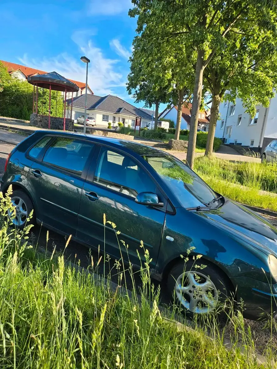 Gebraucht VW Polo 60 PS (44 kW) 2003 Grün Kleinwagen