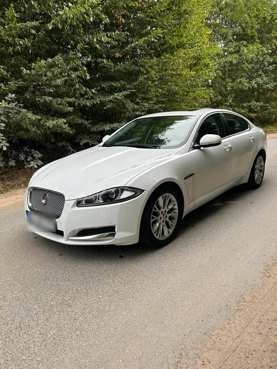 Gebraucht Jaguar XF 200 PS (147 kW) 2015 Weiß Limousine