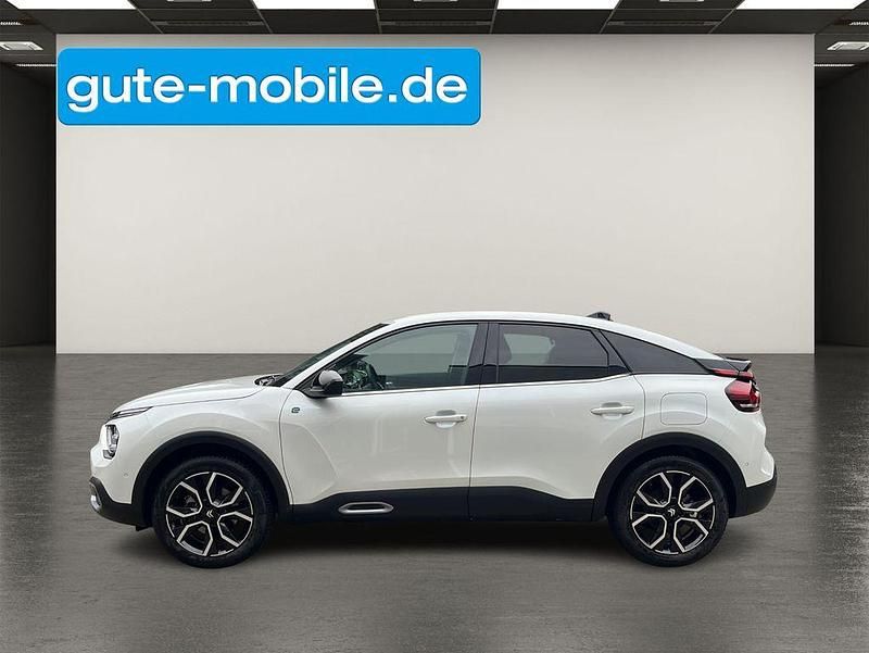 Bild 3/4