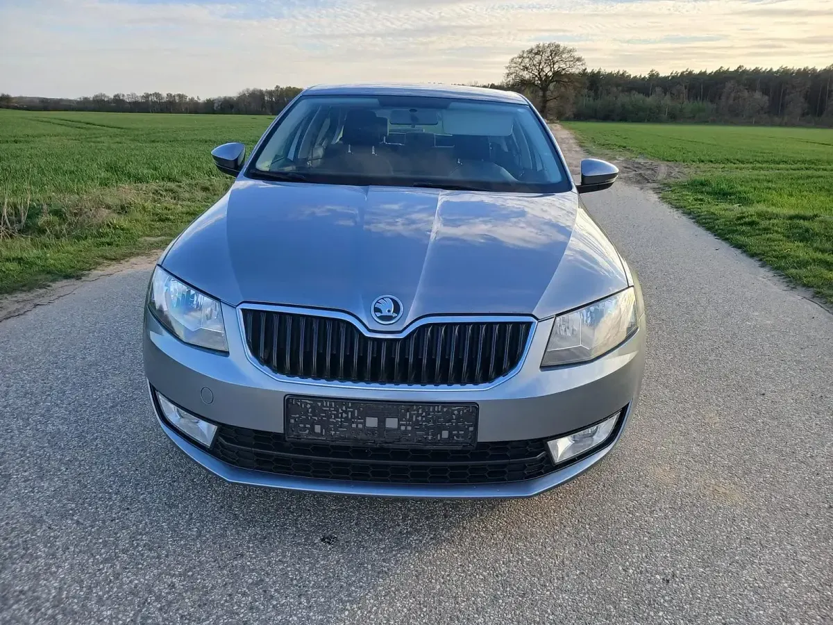 Gebraucht Skoda Octavia 105 PS (77 kW) 2013 Silber SUV