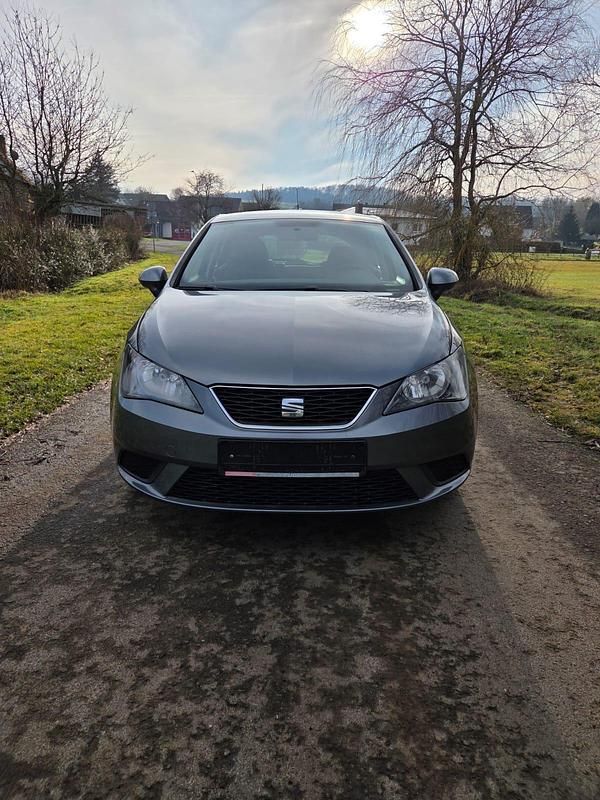 Gebraucht Seat Ibiza Reference 75 PS (55 kW) 2014 Grau Limousine