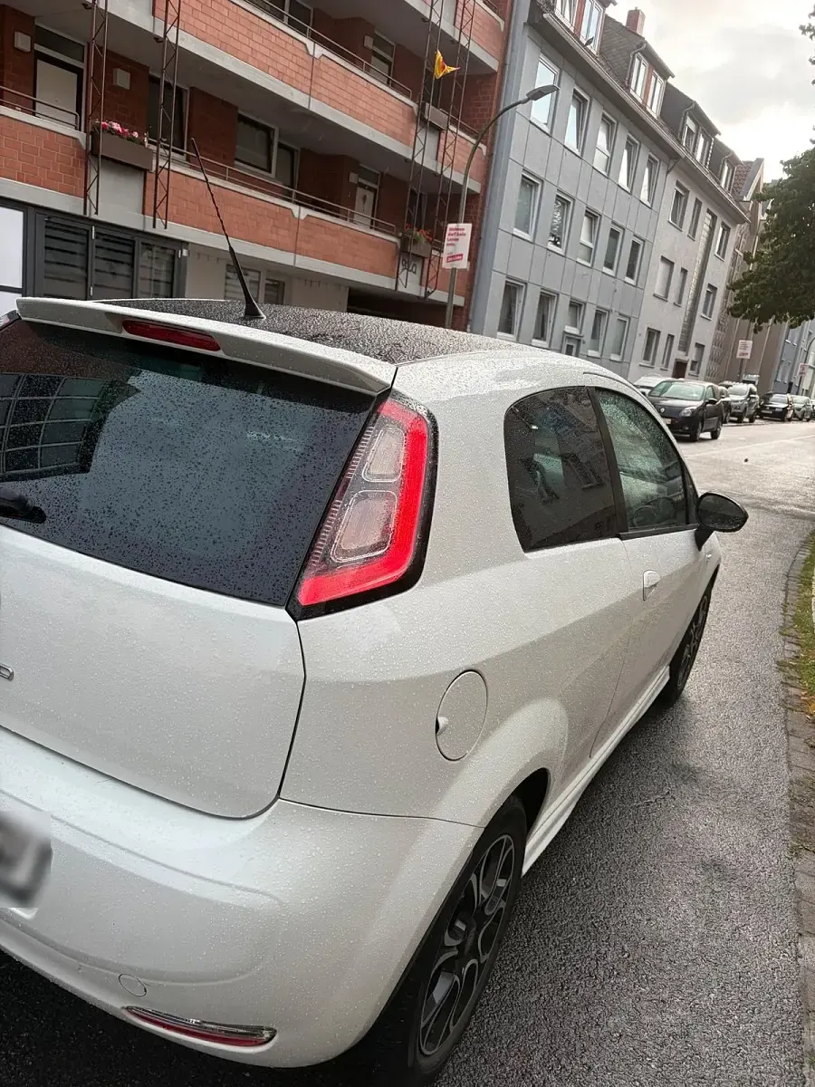 Gebraucht Fiat Punto 68 PS (50 kW) 2013 Weiß Kleinwagen