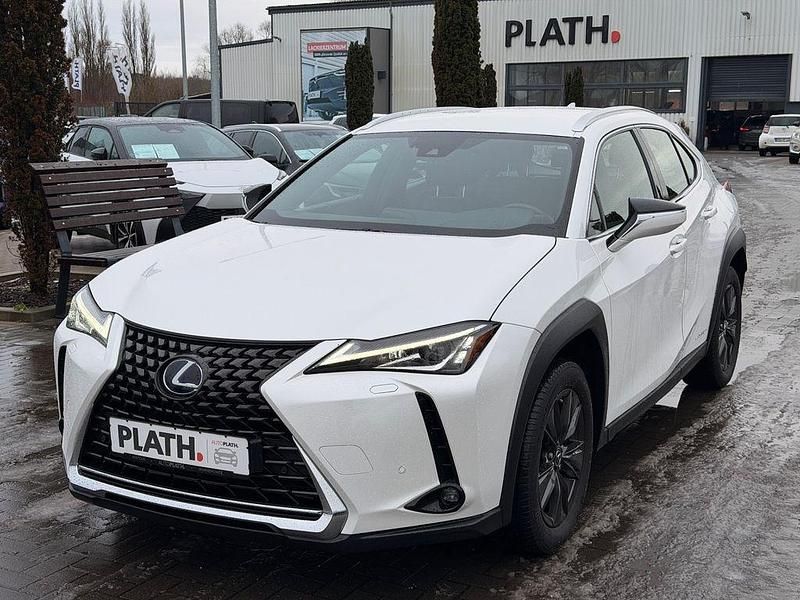 Gebraucht Lexus UX 250h Launch Edition 145 PS (106 kW) 2019 Weiß SUV