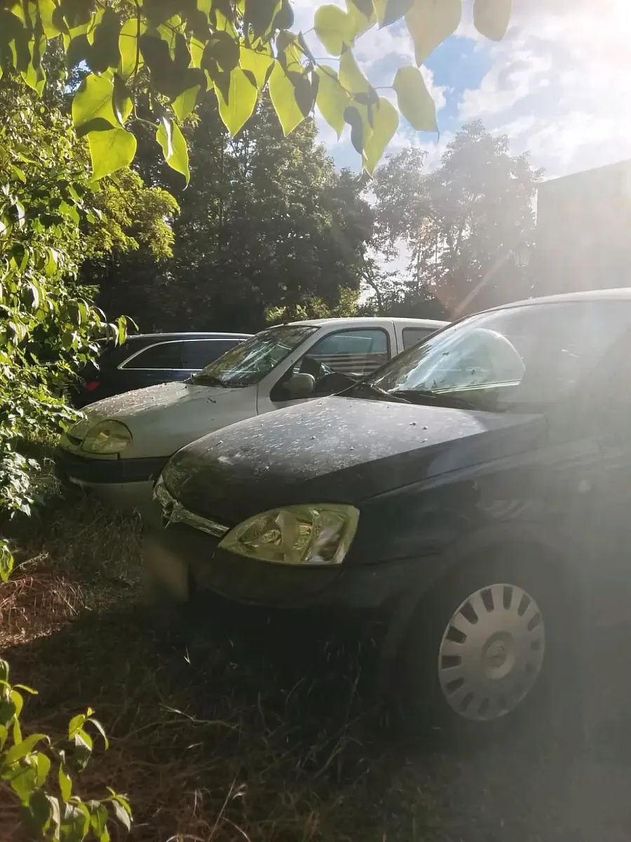 Gebraucht Opel Corsa 50 PS (36 kW) 2002 Kleinwagen