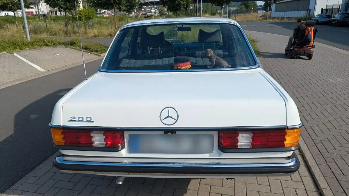 Gebraucht Mercedes 200 94 PS (69 kW) 1978 Weiß Limousine