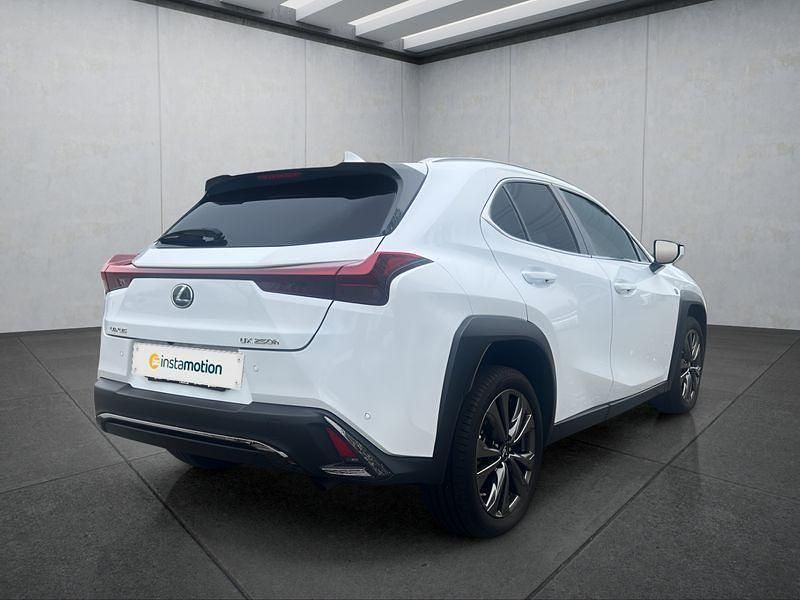 Gebraucht Lexus UX 250h Sport Line 184 PS (135 kW) 2023 Weiß SUV